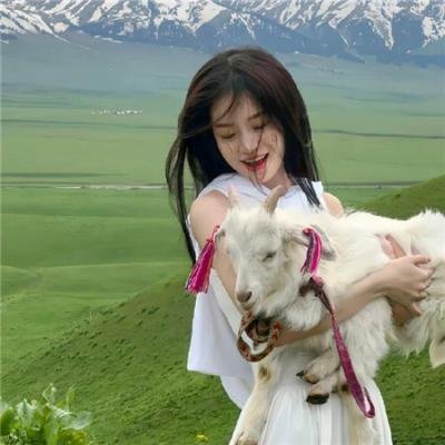 迪林杰 在线观看